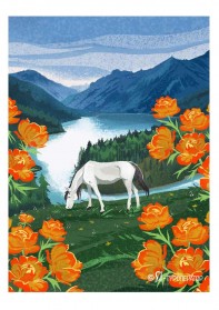 Алтай: цветение жарков